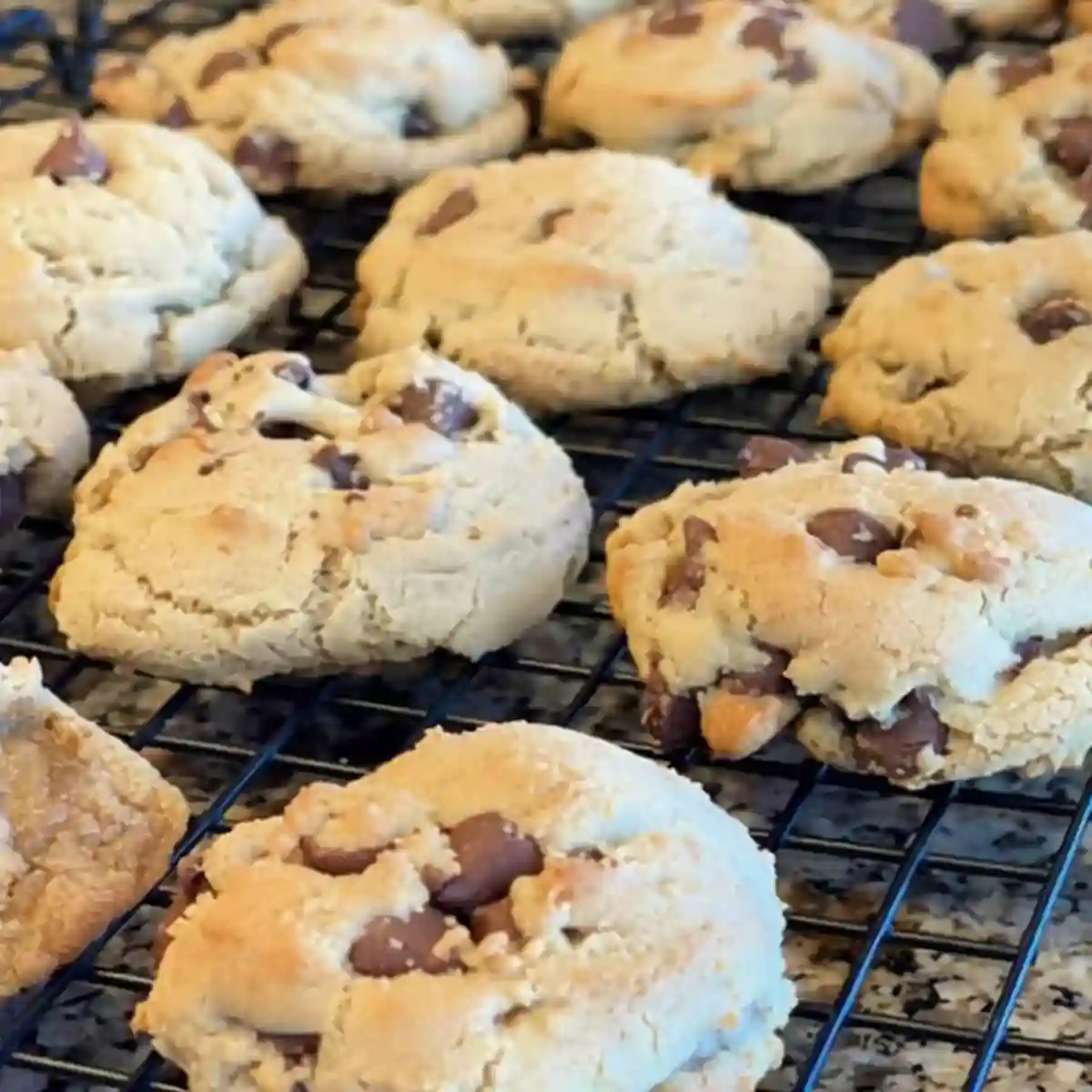 Magnolia Chocolate Chip Cookie Recipe thick chewy cookies cooling on a wire rack with melty chocolate chips