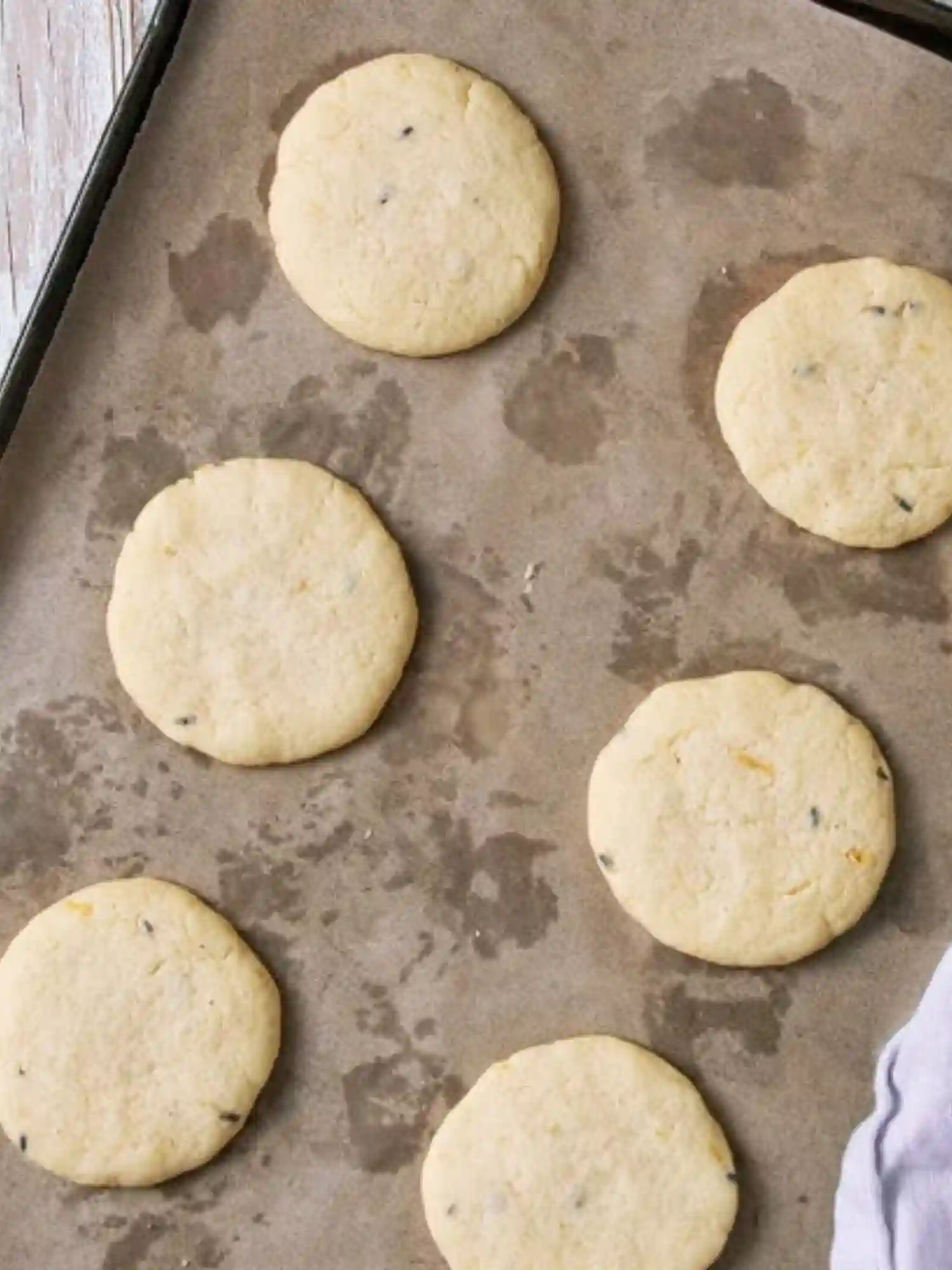 Freshly baked lemon lavender cookies cooling on a parchment-lined baking sheet.